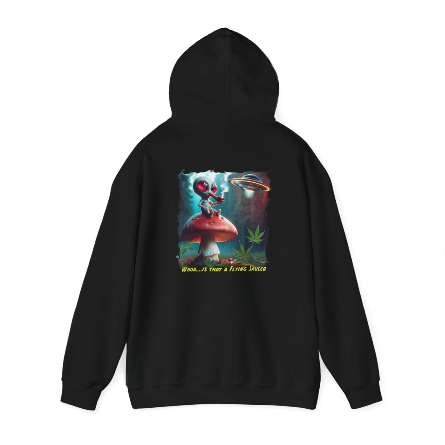 Whoa!.....is that a Flying Saucer ? Hoodie, Unisex Gildon Heavy Blend™ Hooded Sweatshirt