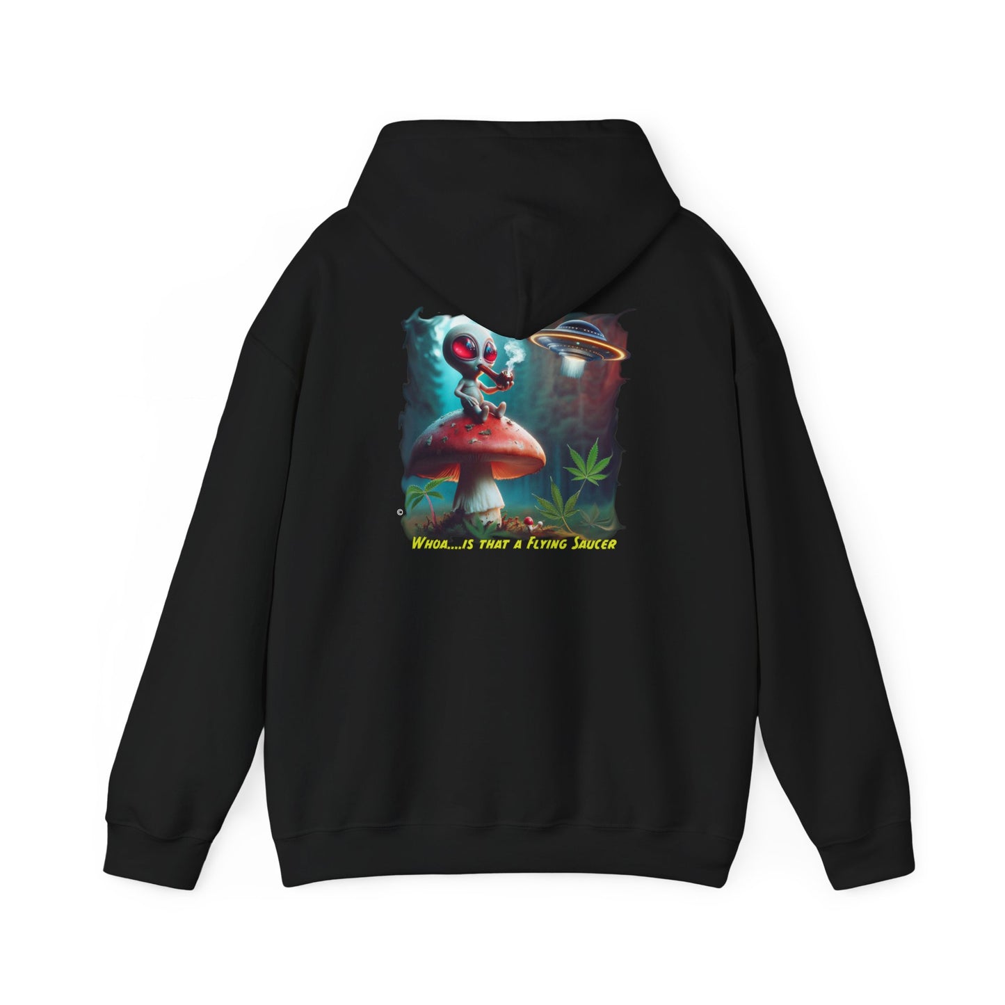 Whoa!.....is that a Flying Saucer ? Hoodie, Unisex Gildon Heavy Blend™ Hooded Sweatshirt